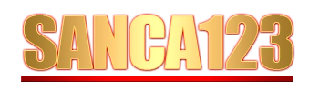 Logo Sanca123